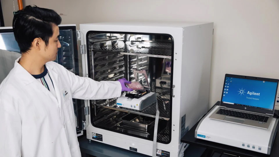 Real-time cell analysis in incubator