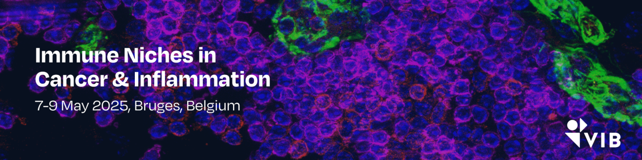 Immune niches in cancer inflammation