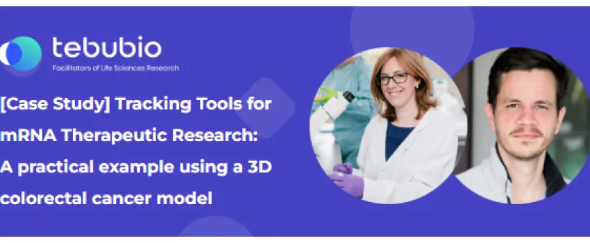 WEBINAR